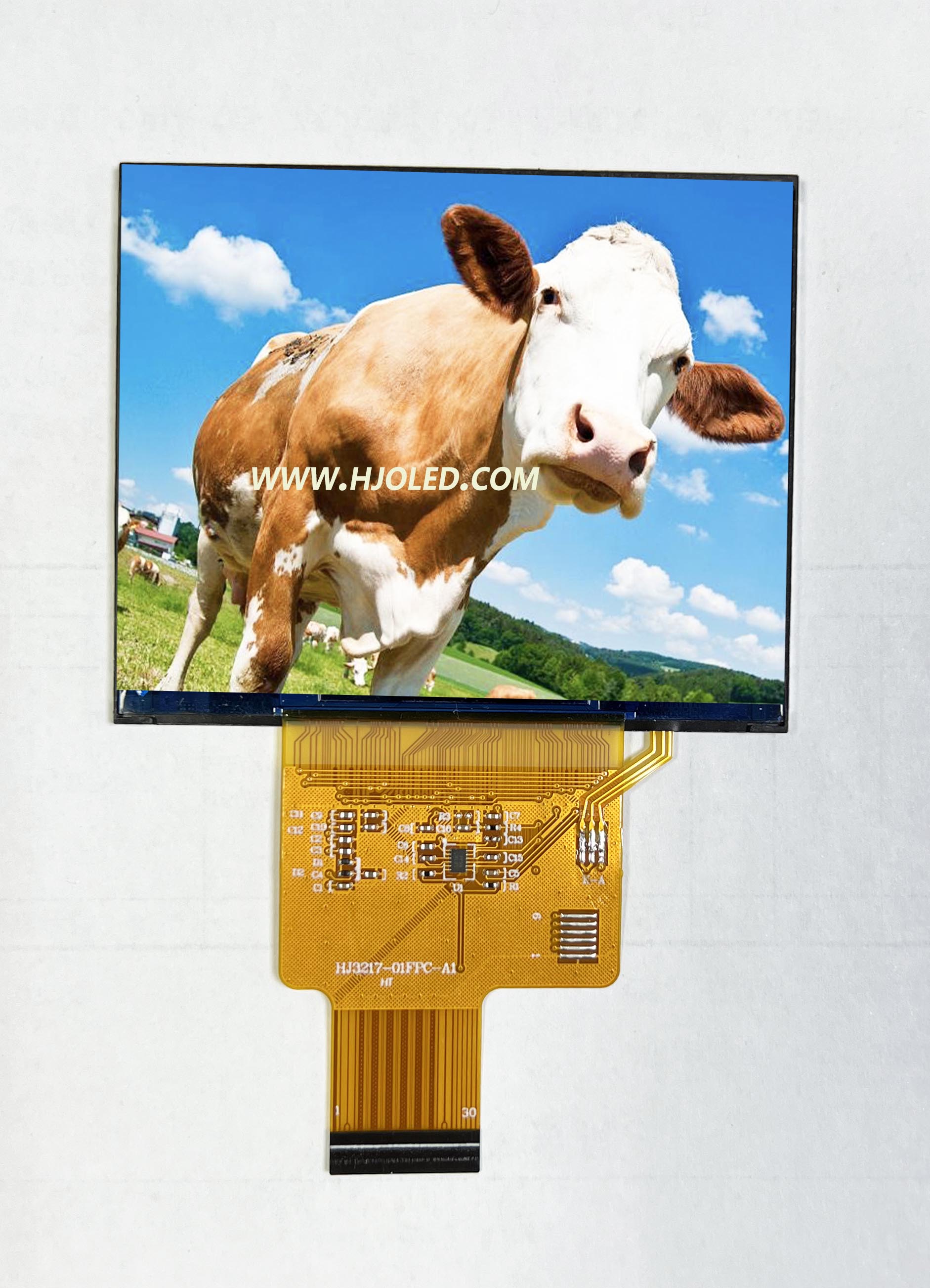 Affichage d'écran horizontal de 3,17 pouces IPS avec une résolution 1024 * 768, prend en charge plusieurs interfaces