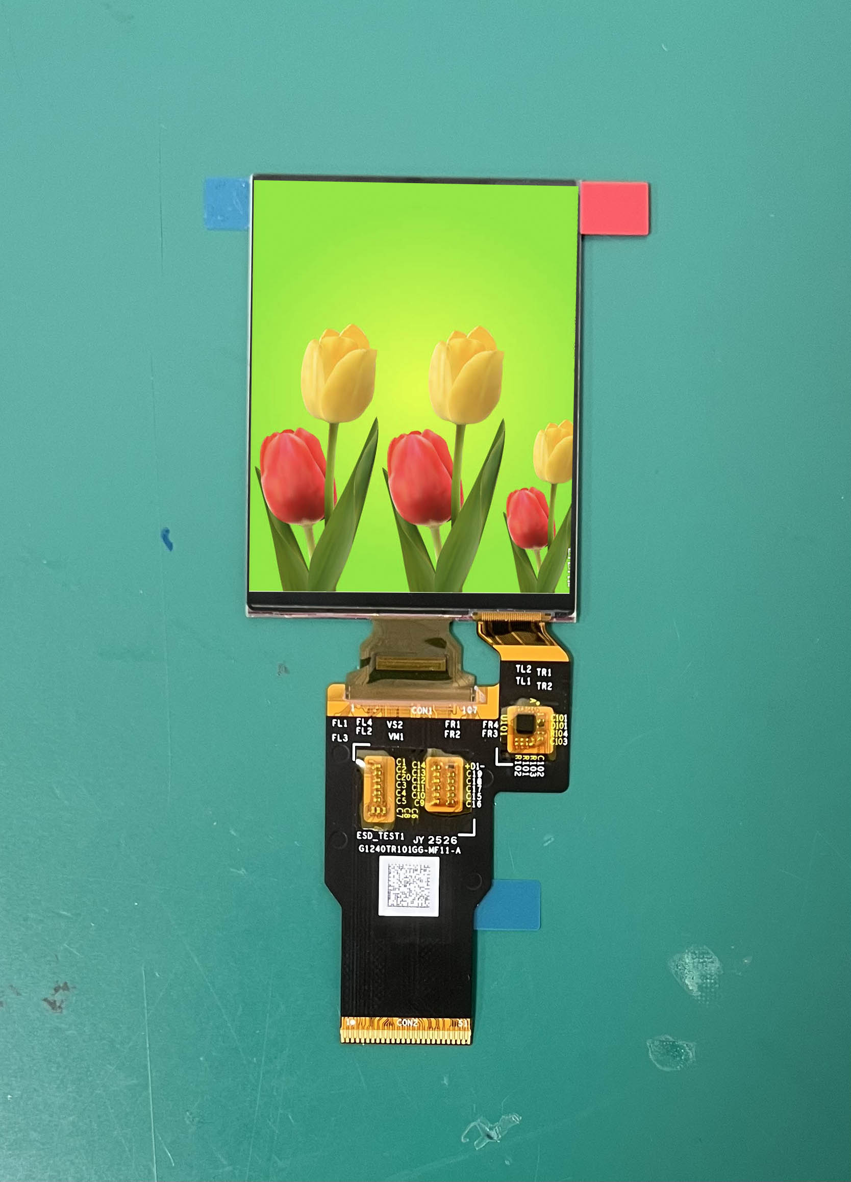 Différences entre les écrans AMOLED et TFT de 2,4 pouces concernant la consommation d'énergie, la luminosité et la gamme de couleurs